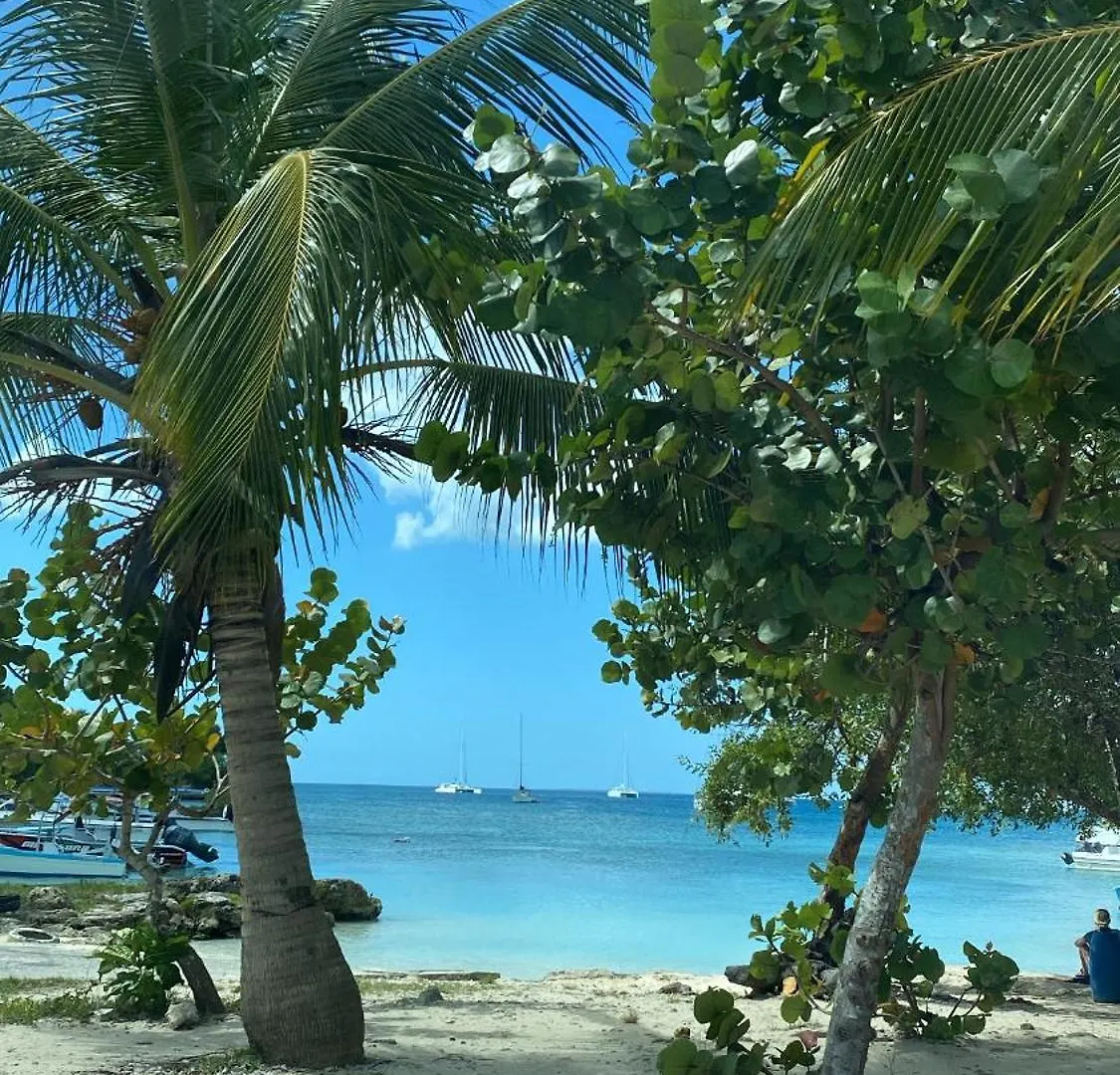 Beach And Pool Life Punta Cana
