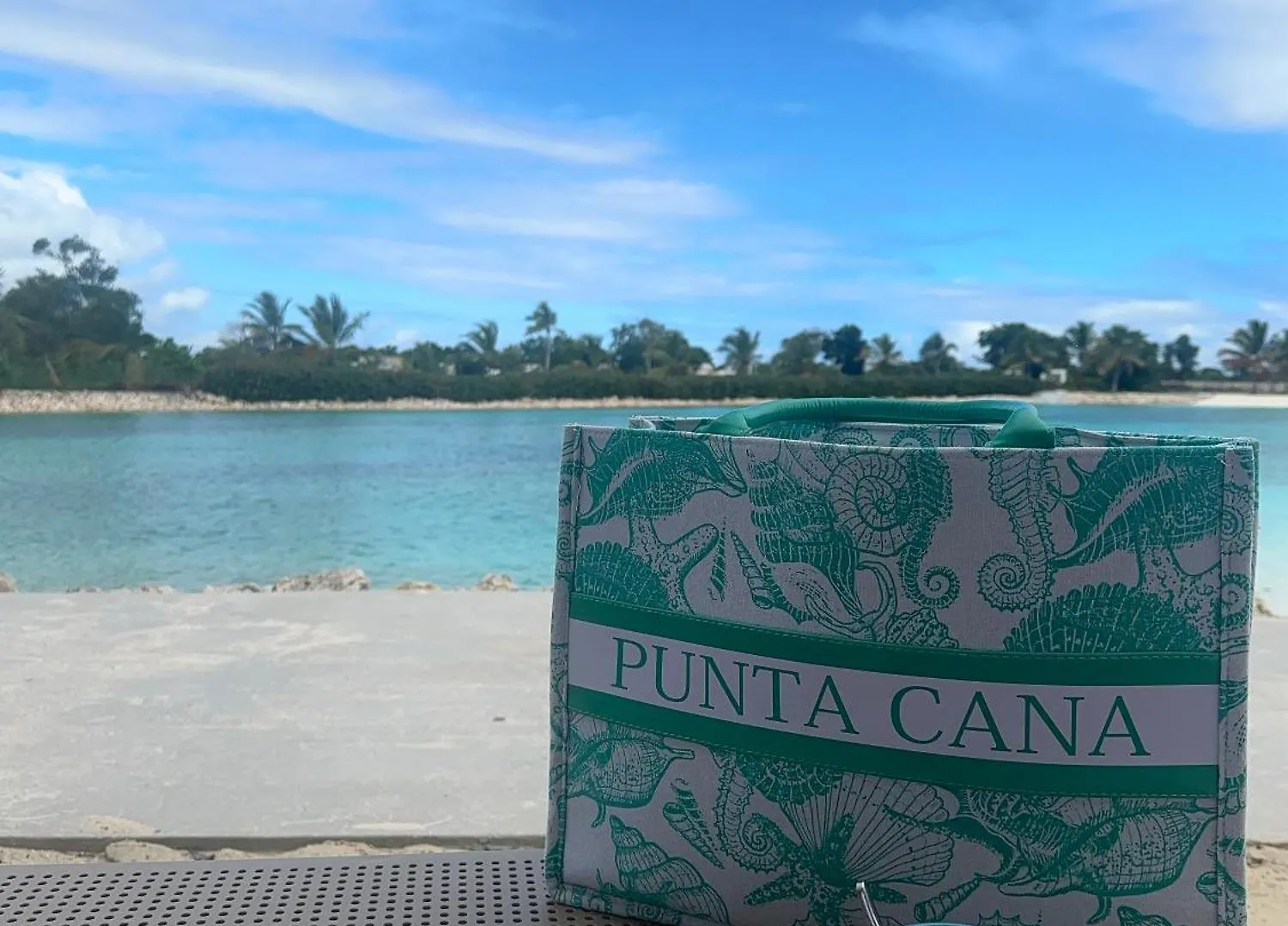 Beach And Pool Life Punta Cana