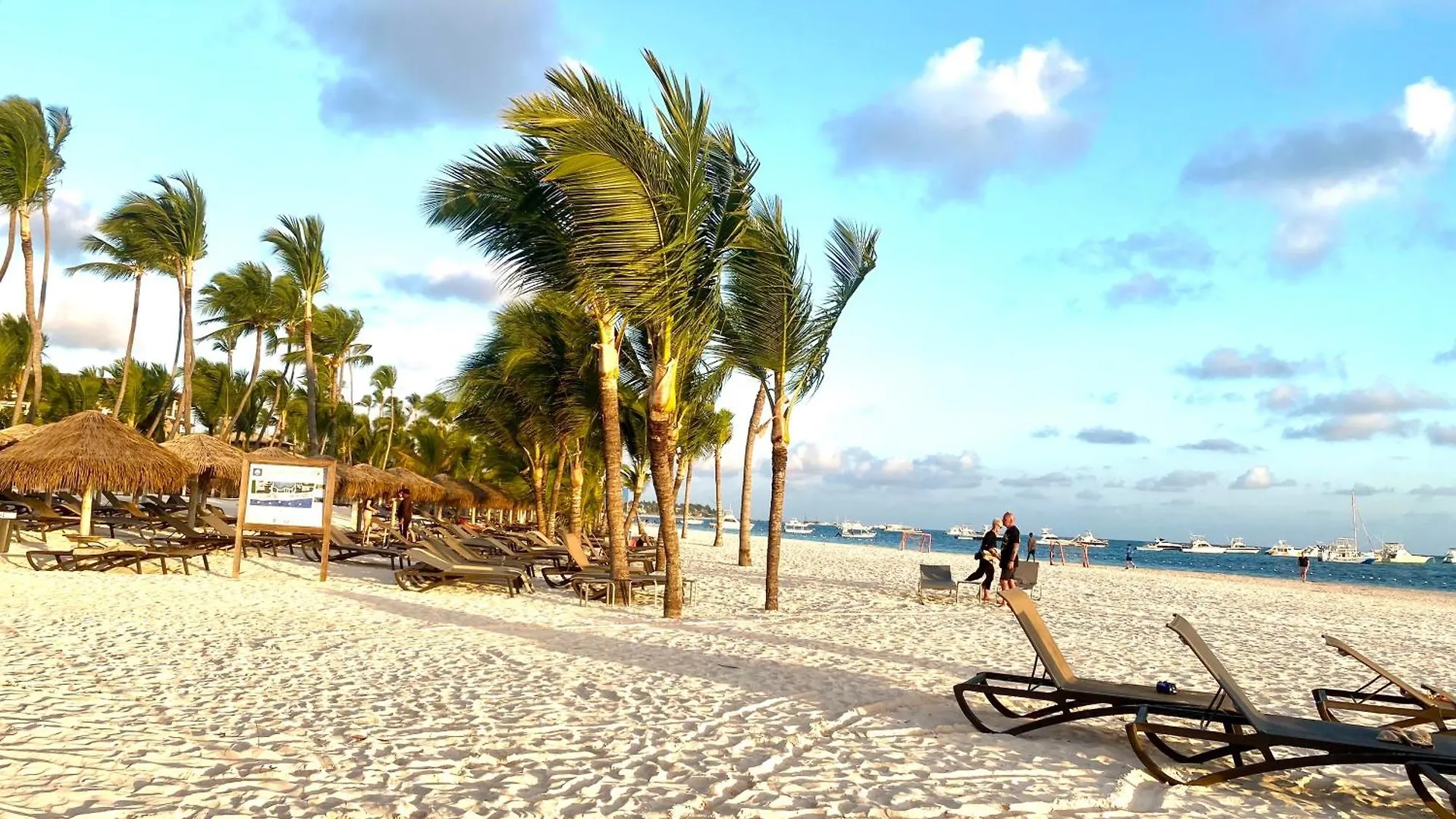 Beach And Pool Life Punta Cana Dominican Republic